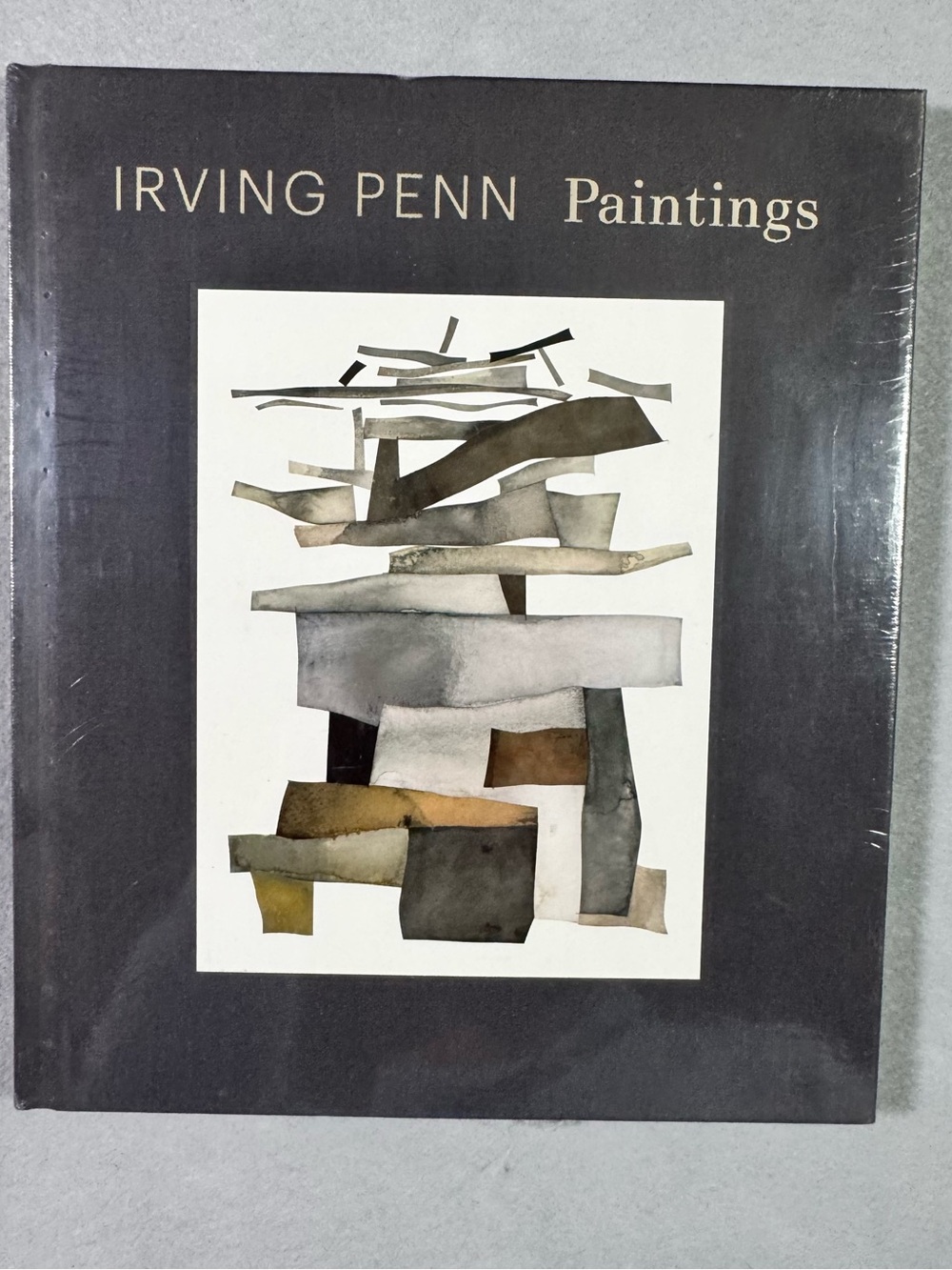 Irving Penn Paintings Hardcover Art Book - Black Cover